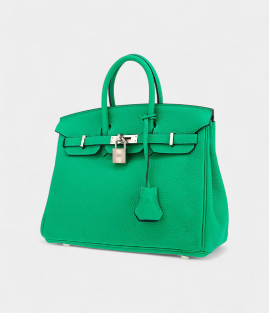 Hermès Birkin 25 Cm Handbag In Vert Menthe Swift Leather
