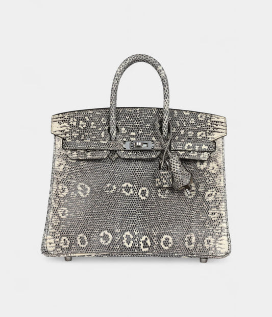 Hermès Birkin 25 Ombre Varanus Salvator Lizard Palladium Hardware
