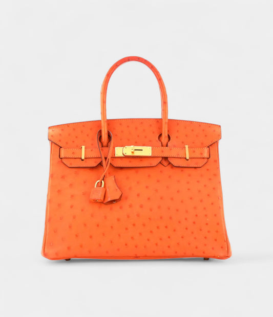 Hermès Birkin 30 Exotic Leathers Tote A Luxurious Masterpiece