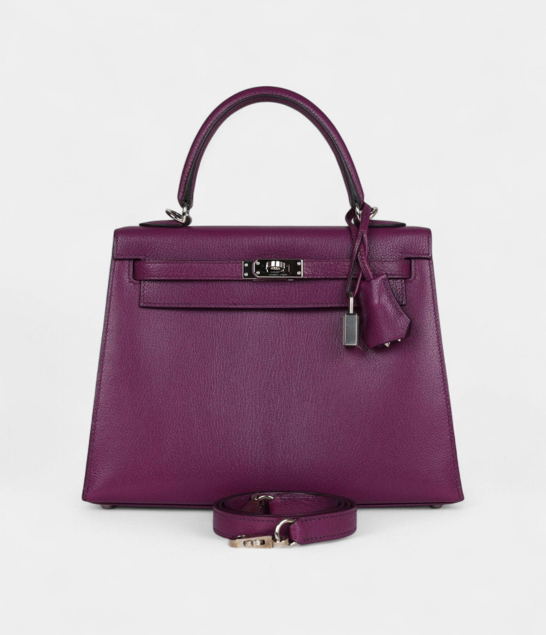 Hermes Kelly 25 Anemone Chevre Mysore Palladium Hardware